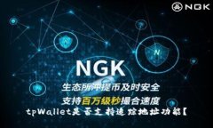 tpWallet是否支持追踪地址功
